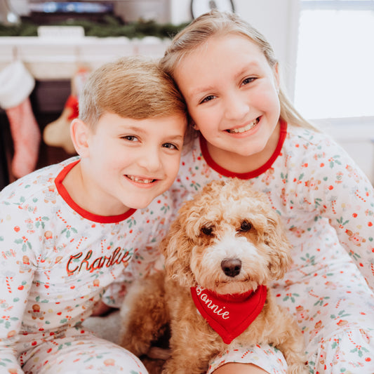 Christmas Red - Dog Bandana